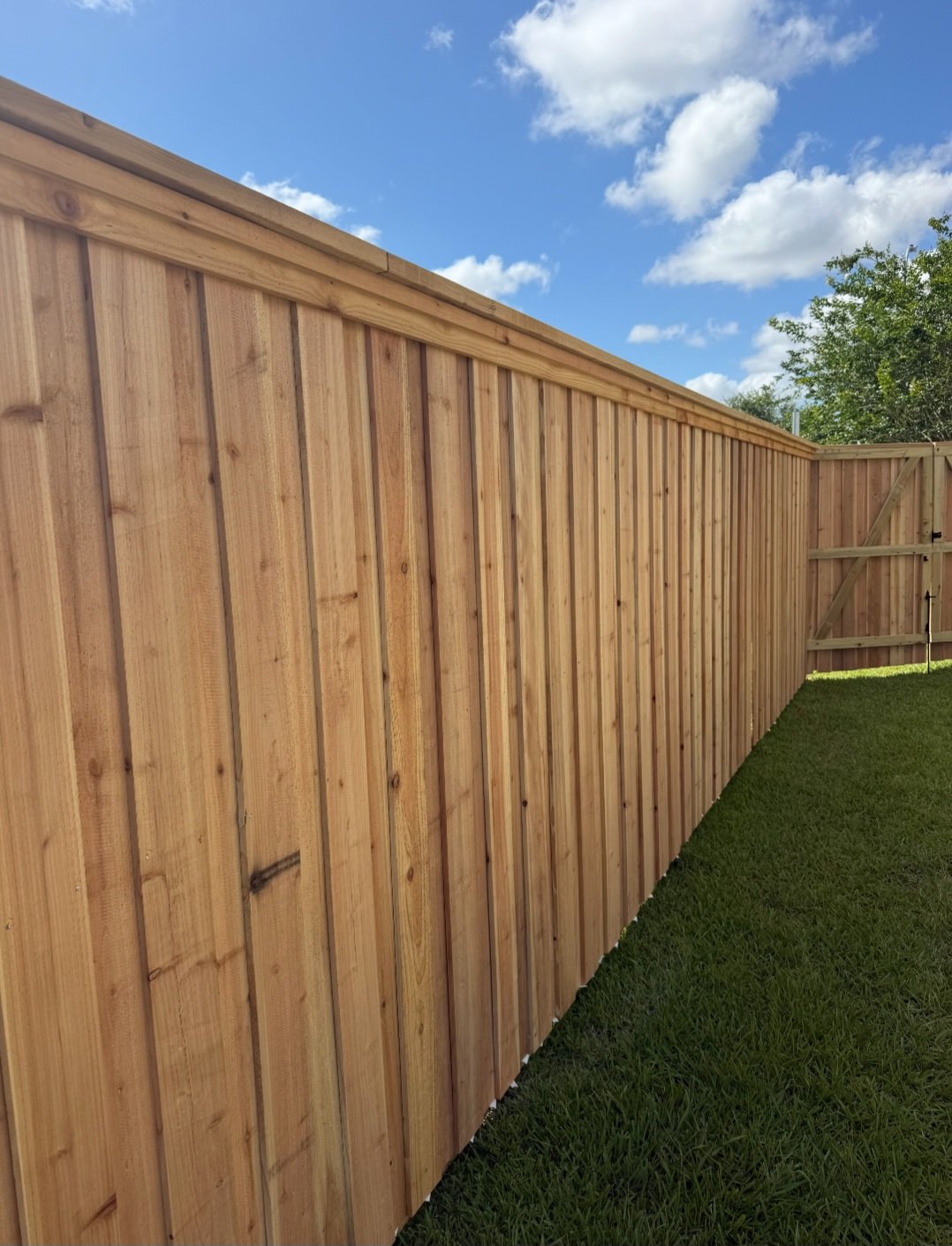 Cedar Cap-Top Board-on-Board Privacy Fence in League City, TX